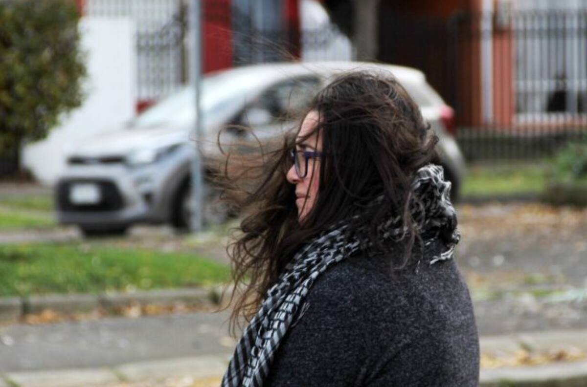 Alejandro Sepúlveda advierte por vientos de hasta 70 km/h en Valparaíso: “Podría romper ramas o provocar cortes en el suministro de energía”