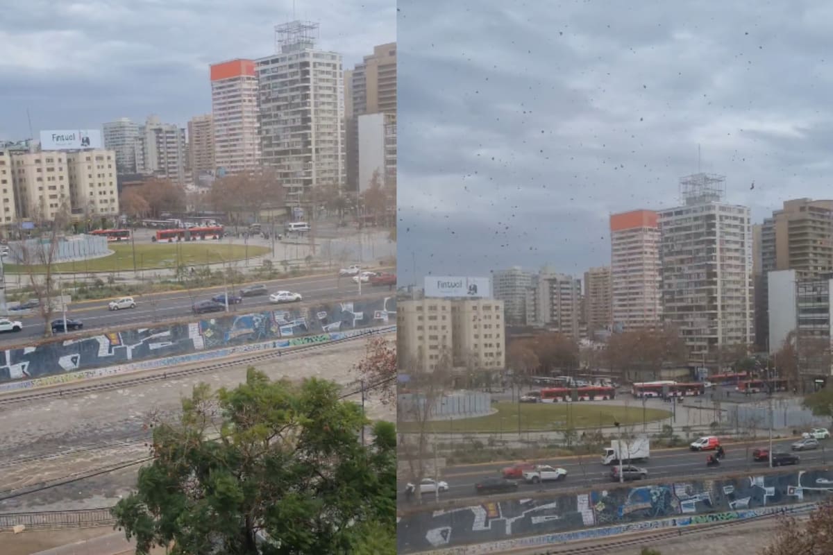 Foto: Captura de video.