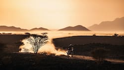 Una leyenda, dos históricos y otro que va por el título: los chilenos que correrán el Rally Dakar 2026