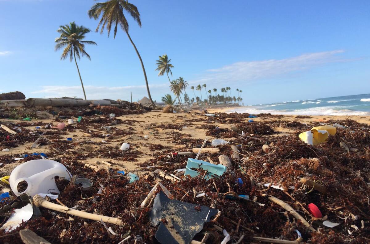 ¿Dónde está Chile? Los 9 países que tienen las playas con más basura en Latinoamérica
