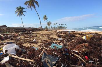 ¿Dónde está Chile? Los 9 países que tienen las playas con más basura en Latinoamérica