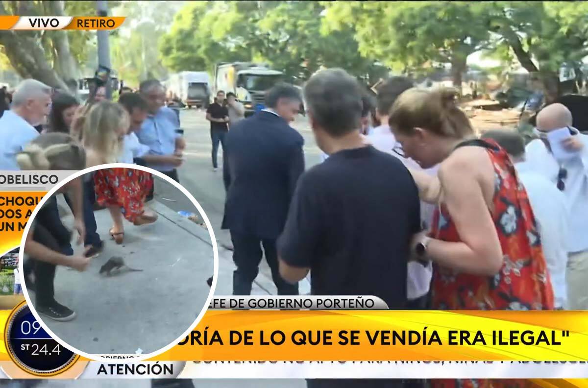 VIDEO | Ratón causa caos irrumpiendo en una conferencia de prensa en Argentina