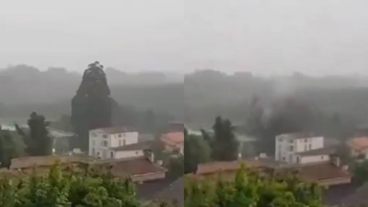 VIDEO | Rayo impacta y destruye árbol de 33 metros en Francia