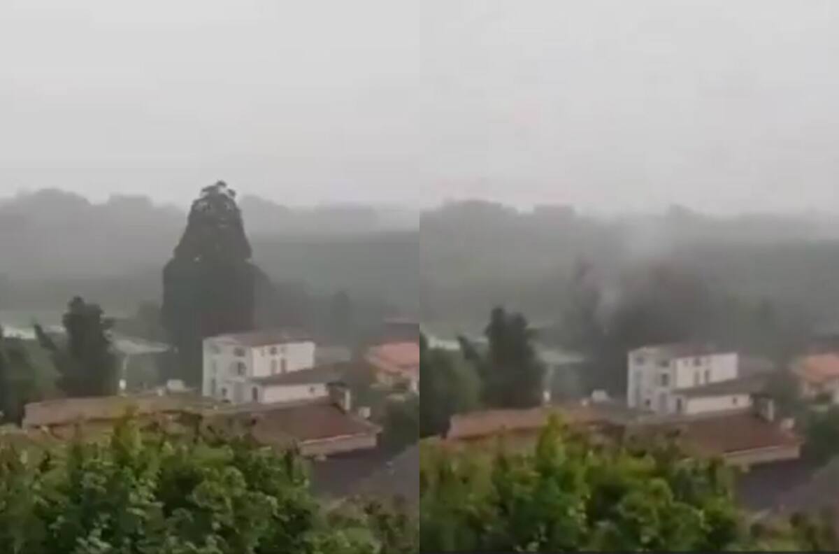 VIDEO | Rayo impacta y destruye árbol de 33 metros en Francia