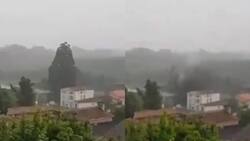 VIDEO | Rayo impacta y destruye árbol de 33 metros en Francia