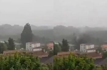 VIDEO | Rayo impacta y destruye árbol de 33 metros en Francia