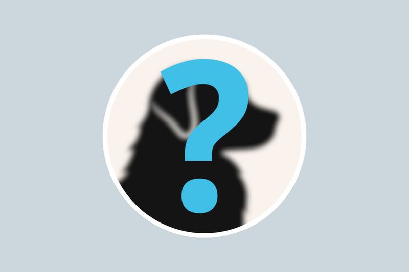 Esto fue lo que dijo la Inteligencia Artificial al respecto.