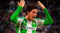 El nuevo “milagro” de Manuel Pellegrini en el Betis