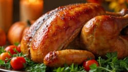 Receta de pavo relleno con pocos ingredientes: Un plato clásico e ideal para la cena de Navidad