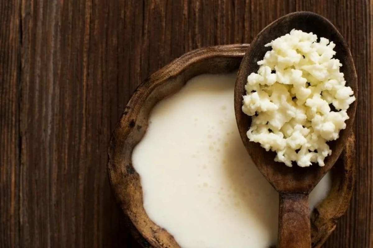 Este alimento es alto en probióticos, por lo que puede tener un impacto positivo en el sistema inmunológico. Créditos: GOOTA.