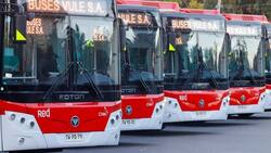 Desde China a Chile: llega nueva flota de buses RED que beneficiará a 20 comunas de la RM
