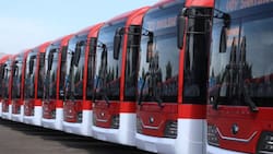 Red Movilidad anuncia buses de apoyo por concierto de Rod Stewart: Revisa los recorridos que se fortalecerán