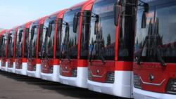 ¿A qué sectores beneficiará? La Región Metropolitana incorpora 50 nuevos buses eléctricos
