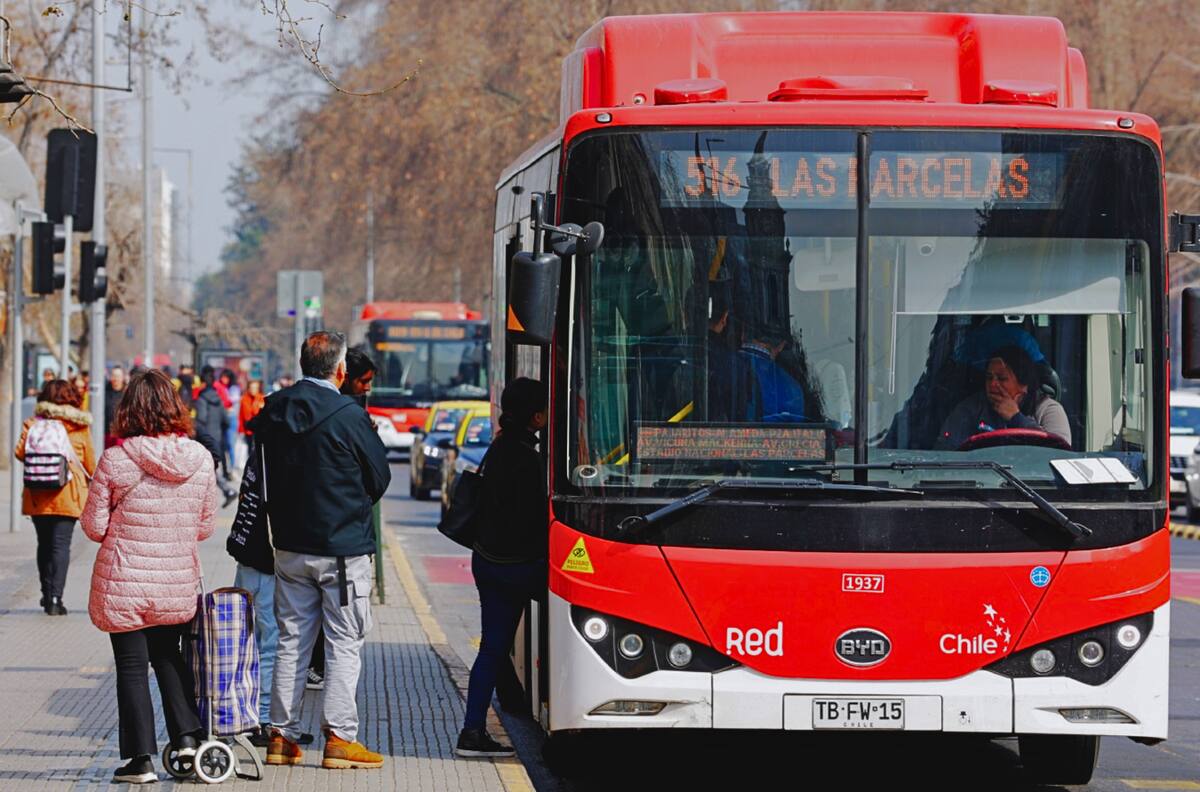 Red Movilidad reforzará dos populares recorridos de la RM: estos servicios pasarán con mayor frecuencia el jueves