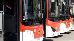 Red Movilidad confirma buses de apoyo por Festival Fauna Primavera 2025: estos recorridos serán beneficiados