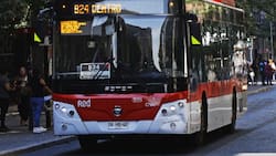 Red Movilidad confirma nuevos servicios en la RM: Conoce los cuatro recorridos que se incorporarán