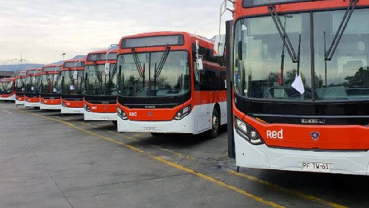 Red Movilidad tendrá buses de apoyo por concierto de Ricky Martin: recorridos y comunas beneficiadas