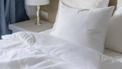Van a oler siempre a recién lavadas: El refrescante para sábanas que puedes preparar en casa de forma sencilla y rápida