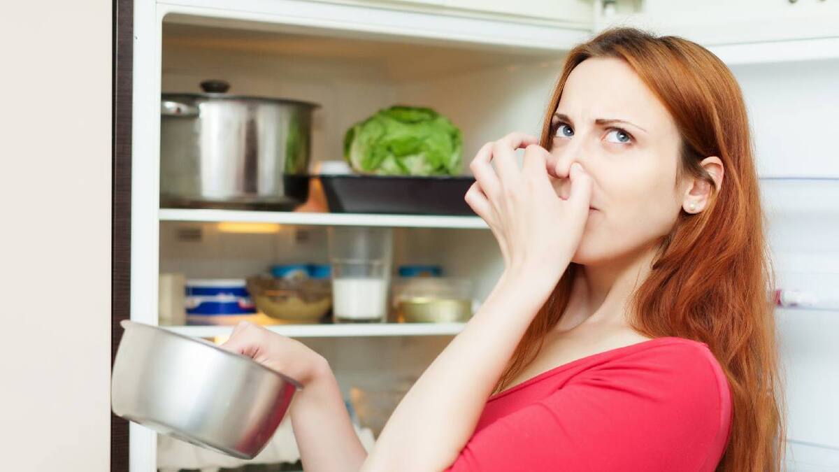 Conoce cómo hacer que tu refrigerador huela rico.