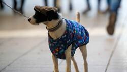 Confirman mínimas cercanas a los 0° para estas comunas de la Región Metropolitana