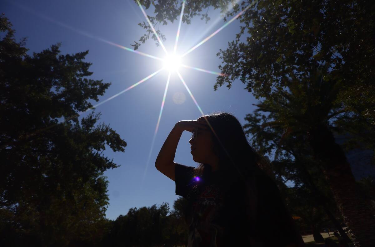 Este será el día más caluroso de la semana en la Región Metropolitana: Las máximas serán extremas