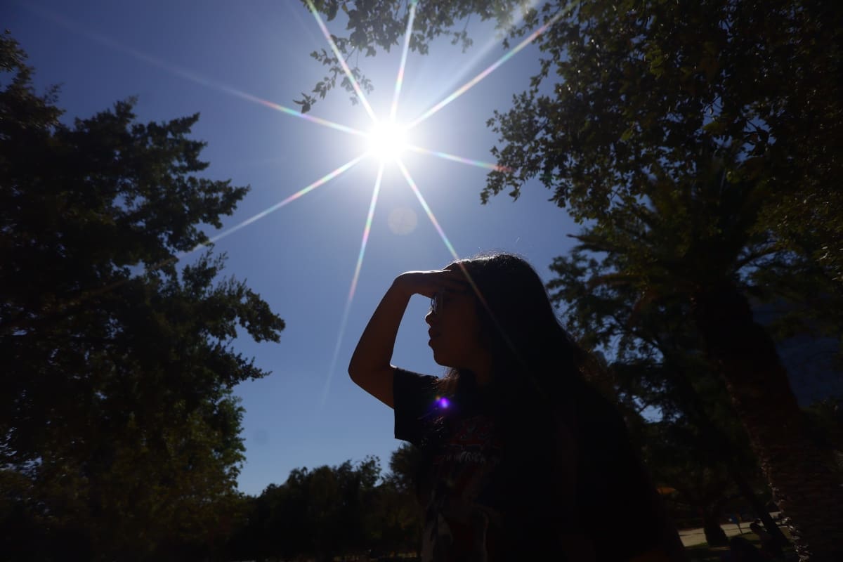 Revisa qué día hará más calor en la capital.