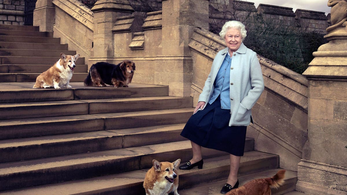 El curioso truco de la Reina Isabel II para calmar a sus perros corgis