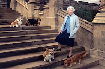 El curioso truco de la Reina Isabel II para calmar a sus perros corgis