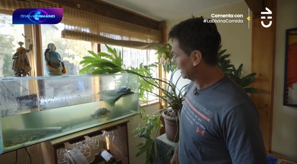 Remigio Remedy tiene tortugas rescatadas en su casa.