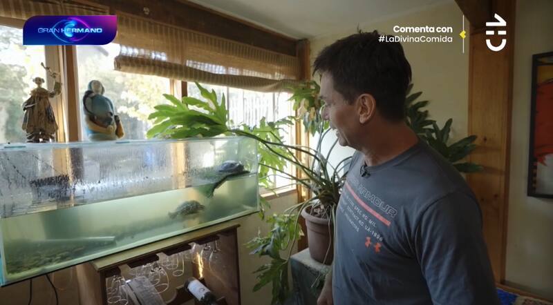 Remigio Remedy tiene tortugas rescatadas en su casa.