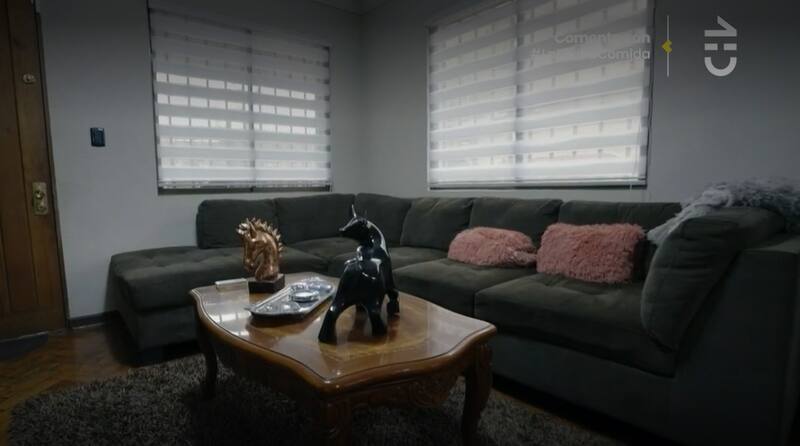 El living de René de la Vega. Créditos: Pantallazo CHV