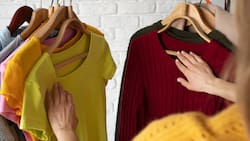 Sin usar químicos: Con este aromatizante casero podrás espantar a las polillas del clóset fácilmente