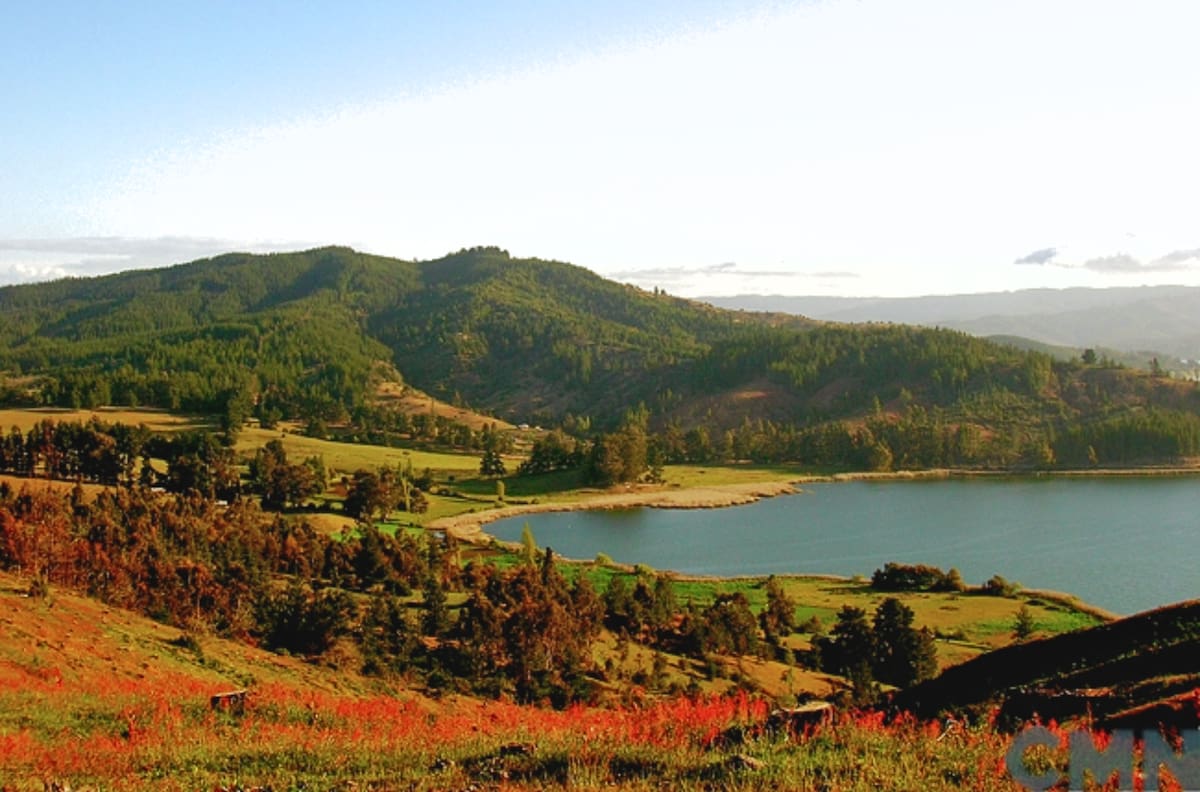 El paraíso de aves y bosques que es un tesoro oculto en el Maule: conoce cómo visitar esta Reserva Nacional