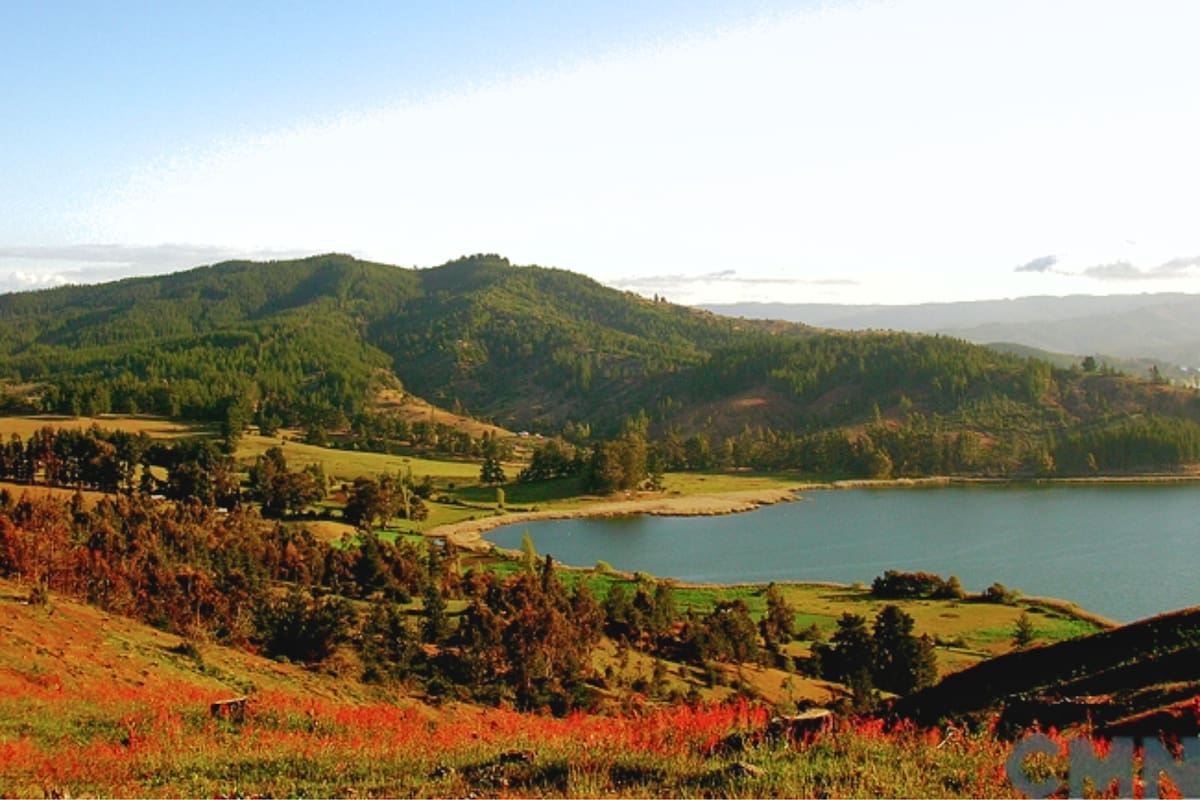 Conoce el tesoro escondido que guarda la Región del Maule para visita en otoño. Foto: Consejo de Monumentos Nacionales.