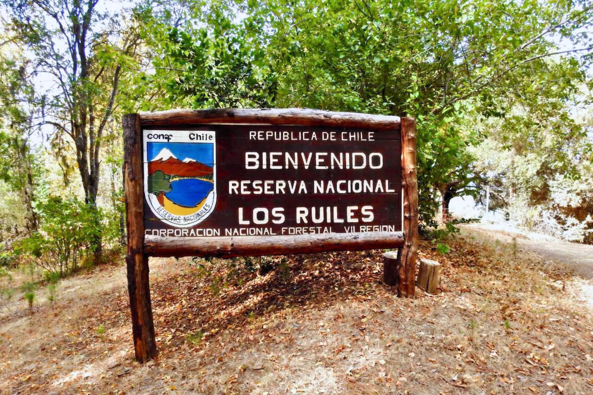 Revisa los horarios y precios de esta joya natural de la Región del Maule. Foto: Consejo de Monumentos en X.