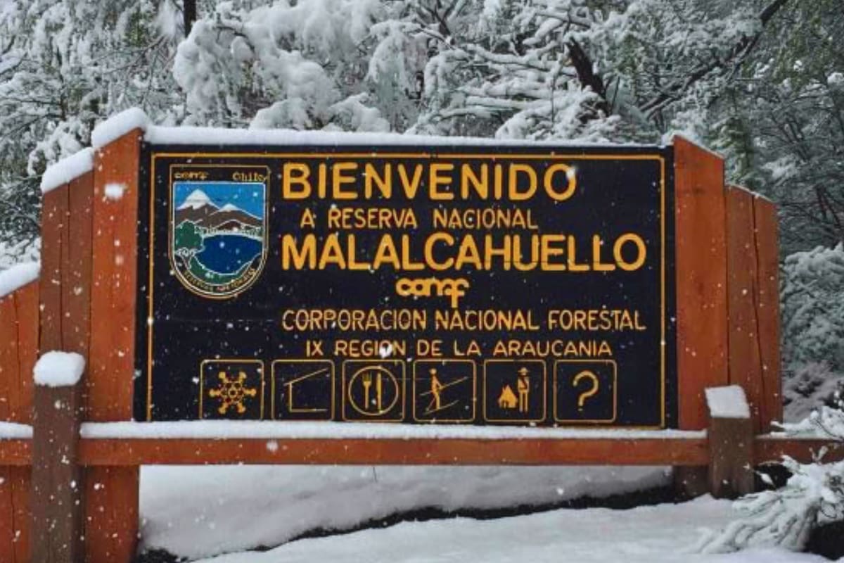 El espacio tiene entradas totalmente accesibles para visitar en compañía. Foto: Araucanía andina.
