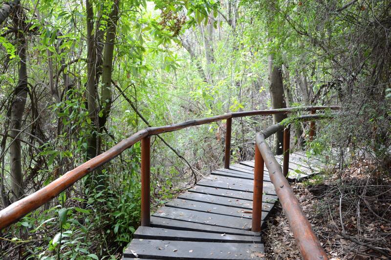 Uno de los lugares para visitar es a Reserva Nacional Río Clarillo.