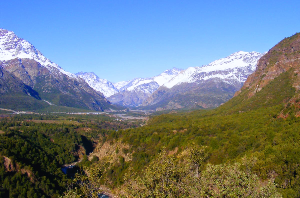 Parece de otro país pero está cerca de Santiago: la reserva nacional poco conocida para visitar en otoño