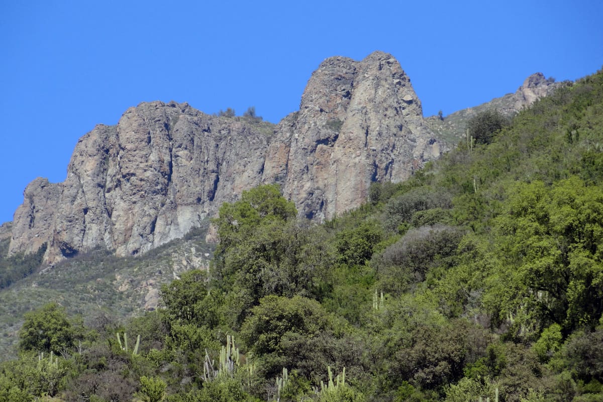 Este parque natural se ubica a 128 kilómetros del centro de Santiago. Foto: CONAF.