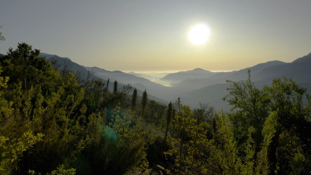 Ni en Santiago ni en Rancagua: El pulmón verde que une a la capital con la Región de O’Higgins y que tiene entrada gratuita