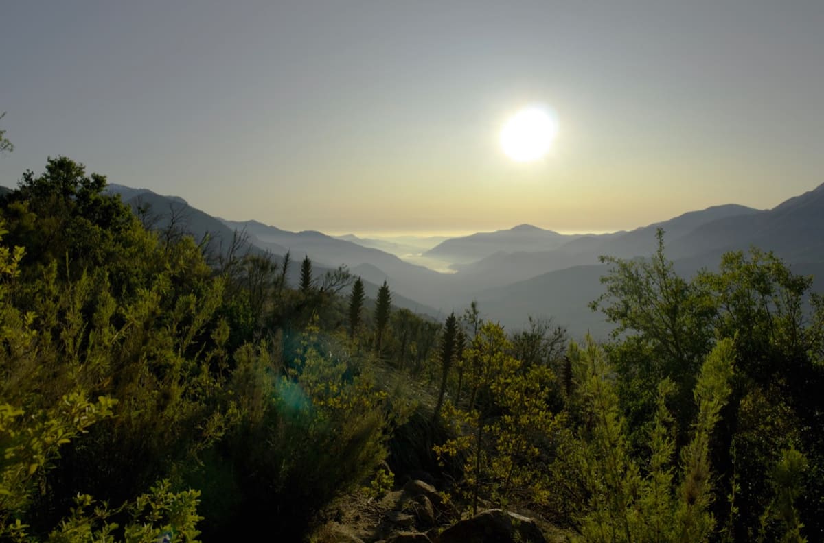 Ni en Santiago ni en Rancagua: El pulmón verde que une a la capital con la Región de O’Higgins y que tiene entrada gratuita