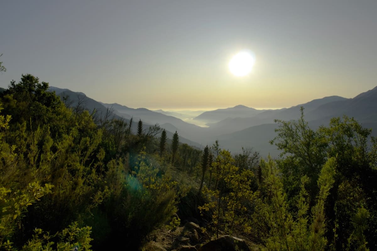 Ubicado en el límite regional, este pulmón natural es administrado por CONAF O'Higgins. Foto: CONAF.