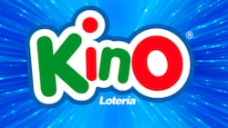 Resultados Kino, sorteo 3149: Revisa los números ganadores de este viernes 14 de noviembre