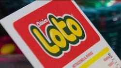 Resultados del Loto sorteo 5342: Tres personas recibieron $920.550 este domingo 2 de noviembre