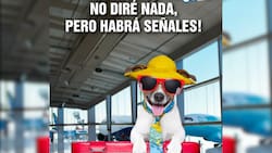 2 personas ganaron más de $960 millones: Conoce los resultados del sorteo 3131 del Kino