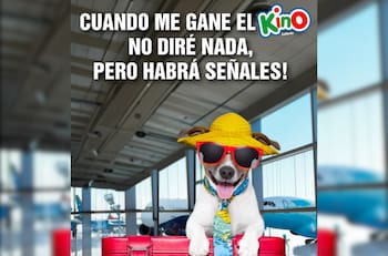2 personas ganaron más de $960 millones: Conoce los resultados del sorteo 3131 del Kino