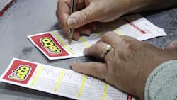Resultados Loto | Revisa los números ganadores del sorteo N°4943 de este domingo 16 de abril