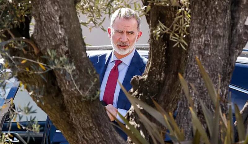 Rey Felipe visita a la reina Sofía tras hospitalización.