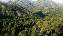 Parques nacionales de todo Chile tendrán entrada gratuita este domingo: así puedes conseguir los tickets