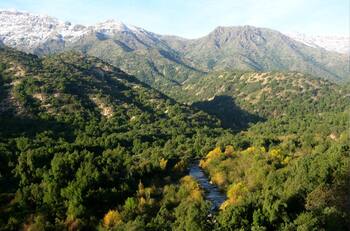 Parques nacionales de todo Chile tendrán entrada gratuita este domingo: así puedes conseguir los tickets